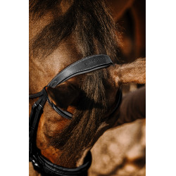 Bridon Eric Thomas Werk Zwart