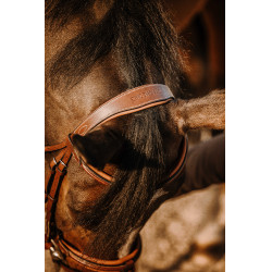 Bridon Eric Thomas Werk Havana Bruin Bridon Eric Thomas Werk Havana Bruin