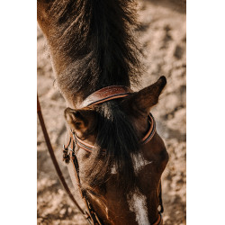 Bridon Eric Thomas Werk Havana Bruin Bridon Eric Thomas Werk Havana Bruin