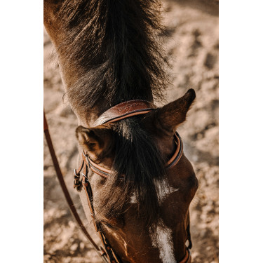 Bridon Eric Thomas Werk Havana Bruin Bridon Eric Thomas Werk Havana Bruin