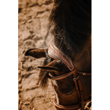 Bridon Eric Thomas Crown Havana Bruin Bridon Eric Thomas Crown Havana Bruin