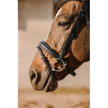 Bridon Eric Thomas Bat Zwart Bridon Eric Thomas Bat Zwart