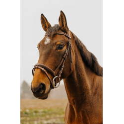 Bridon Norton Club Strass V Havana Bruin Bridon Norton Club Strass V Havana Bruin