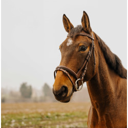 Bridon Norton Club Strass V Havana Bruin Bridon Norton Club Strass V Havana Bruin