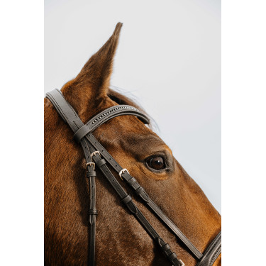 Bridon Norton Club Strass V Zwart