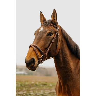 Bridon Norton Club Plein Havana Bruin Bridon Norton Club Plein Havana Bruin