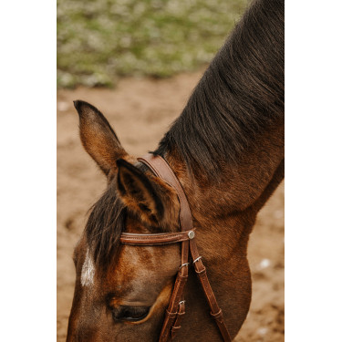 Bridon Norton Club Plein Havana Bruin Bridon Norton Club Plein Havana Bruin