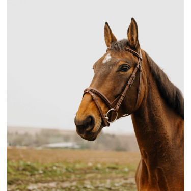 Bridon Norton Club Plein Havana Bruin Bridon Norton Club Plein Havana Bruin