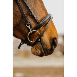 Bridon Norton Club Easy Zwart