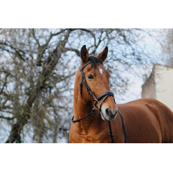 Bridon Norton Training Zwart