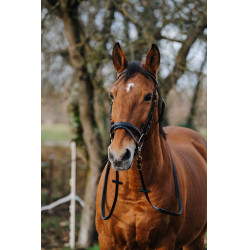 Bridon Norton Training Zwart