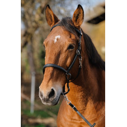 Bridon/Halster Norton Training Zwart