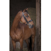 Bride Norton Pro Zwart