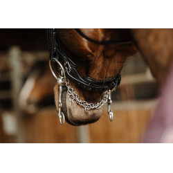 Bruid Norton Basal Zwart