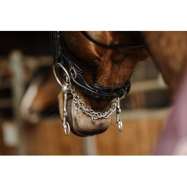 Bruid Norton Basal Zwart