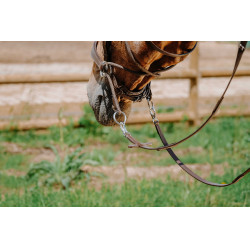 Bridon Bitloos Norton Havana Bruin