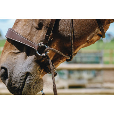 Bridon Bitloos Norton Havana Bruin