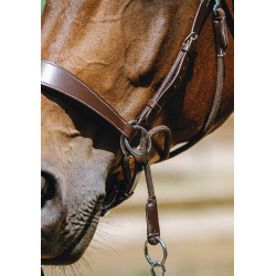 Bridon Bitloos Norton Havana Bruin
