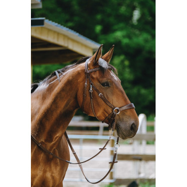 Bridon Bitloos Norton Havana Bruin