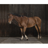 Norton zachte hulpteugel voor extensie Zwart Norton zachte hulpteugel voor extensie Zwart