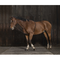 Norton zachte hulpteugel voor extensie Marine / zwart Blauw Norton zachte hulpteugel voor extensie Marine / zwart Blauw