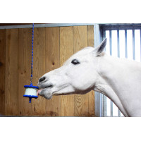 Steun voor Likit zoutsteen 650 g Blauw