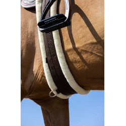 Elastische singel Norton Smooth Bruin Elastische singel Norton Smooth Bruin