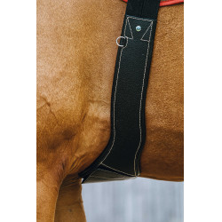 Anatomische singel Magnet Norton Zwart