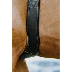 Anatomische singel Magnet Norton Zwart