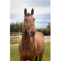 Ethologische Halster met Teugels Bruin Ethologische Halster met Teugels Bruin