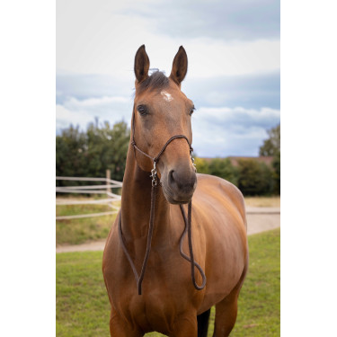 Ethologische Halster met Teugels Bruin Ethologische Halster met Teugels Bruin