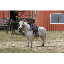 Navajo gewatteerd zadeldek Turkoois Blauw Navajo gewatteerd zadeldek Turkoois Blauw