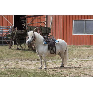 Navajo gewatteerd zadeldek Turkoois Blauw Navajo gewatteerd zadeldek Turkoois Blauw