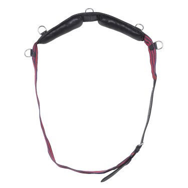 Singelriem Norton Club