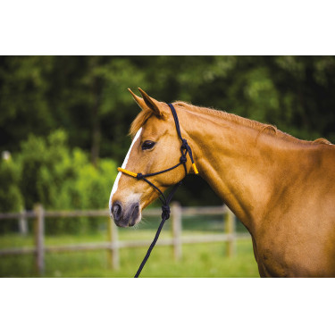 ETHOLOGISCHE HALSTER + FUN COLOUR LIJN