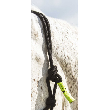 ETHOLOGISCHE HALSTER + FUN COLOUR LIJN Neon groen