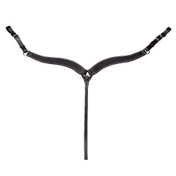 Western borsttuig Randol's met sierstiksel