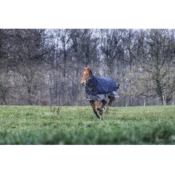 Equithème Tyrex 600 D COMBO 200G deken