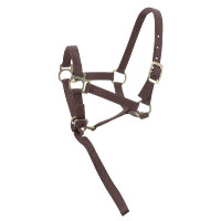 Nylon halster veulen Violet