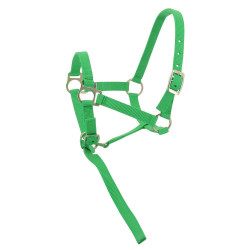 Nylon halster veulen Lichtgroen Nylon halster veulen Lichtgroen