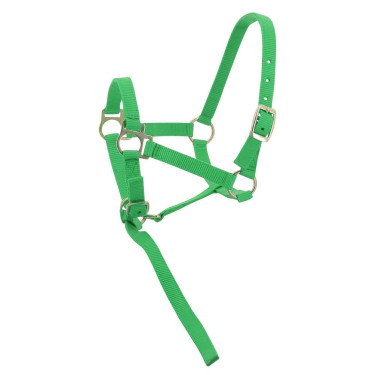 Nylon halster veulen Lichtgroen Nylon halster veulen Lichtgroen