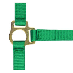 Nylon halster veulen Lichtgroen Nylon halster veulen Lichtgroen