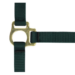 Nylon halster veulen Donkergroen Nylon halster veulen Donkergroen