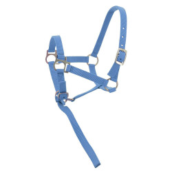 Nylon halster veulen Lucht Blauw Nylon halster veulen Lucht Blauw