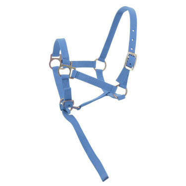 Nylon halster veulen Lucht Blauw Nylon halster veulen Lucht Blauw