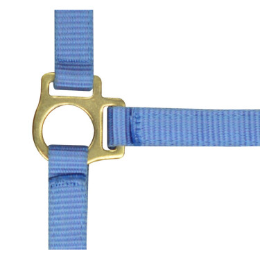 Nylon halster veulen Lucht Blauw Nylon halster veulen Lucht Blauw