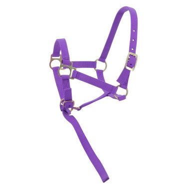 Nylon halster veulen Violet