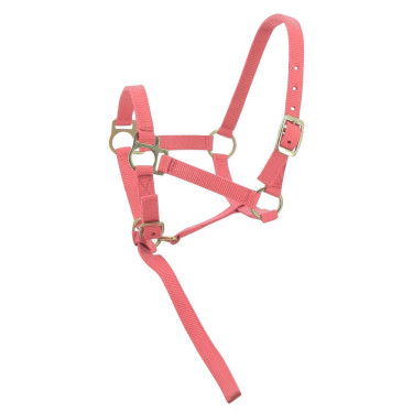 Nylon halster veulen Roze