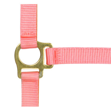 Nylon halster veulen Roze