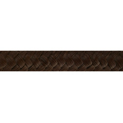 Ethologische longe Bruin